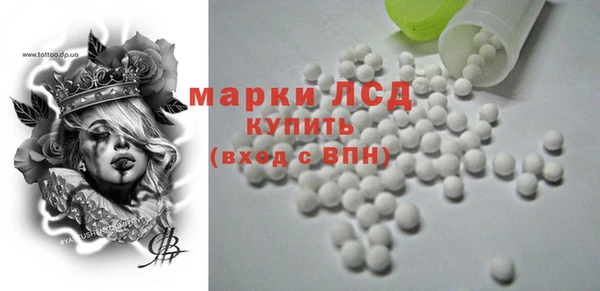 прущие грибы Аркадак