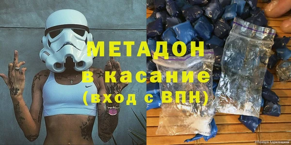 прущие грибы Аркадак