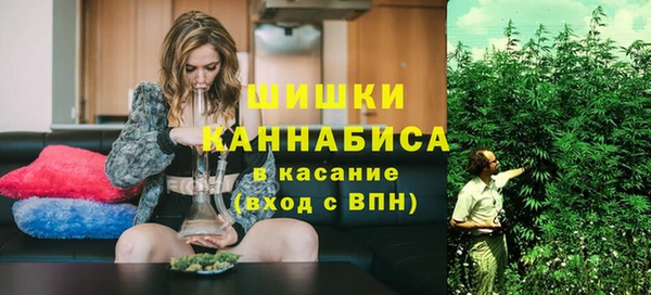 прущие грибы Аркадак