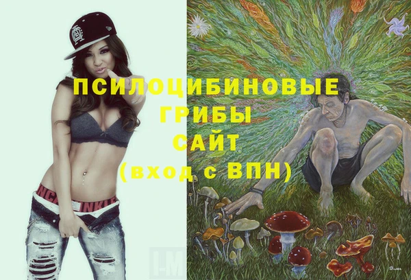 круглые Армянск