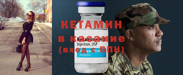 прущие грибы Аркадак
