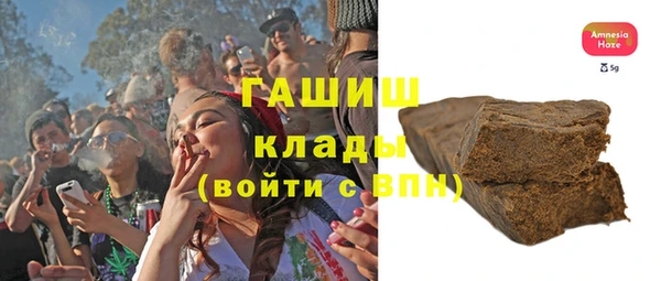прущие грибы Аркадак