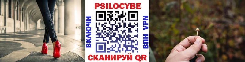 Псилоцибиновые грибы Psilocybe  Приозерск 